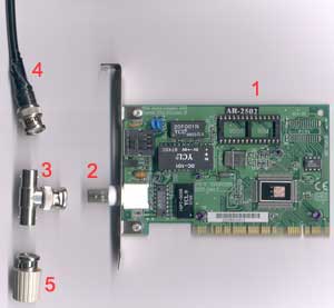 nic.jpg (8726 byte)